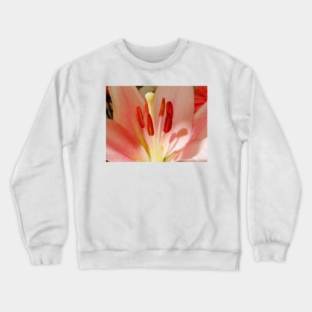 lily stamens Crewneck Sweatshirt by pinkal